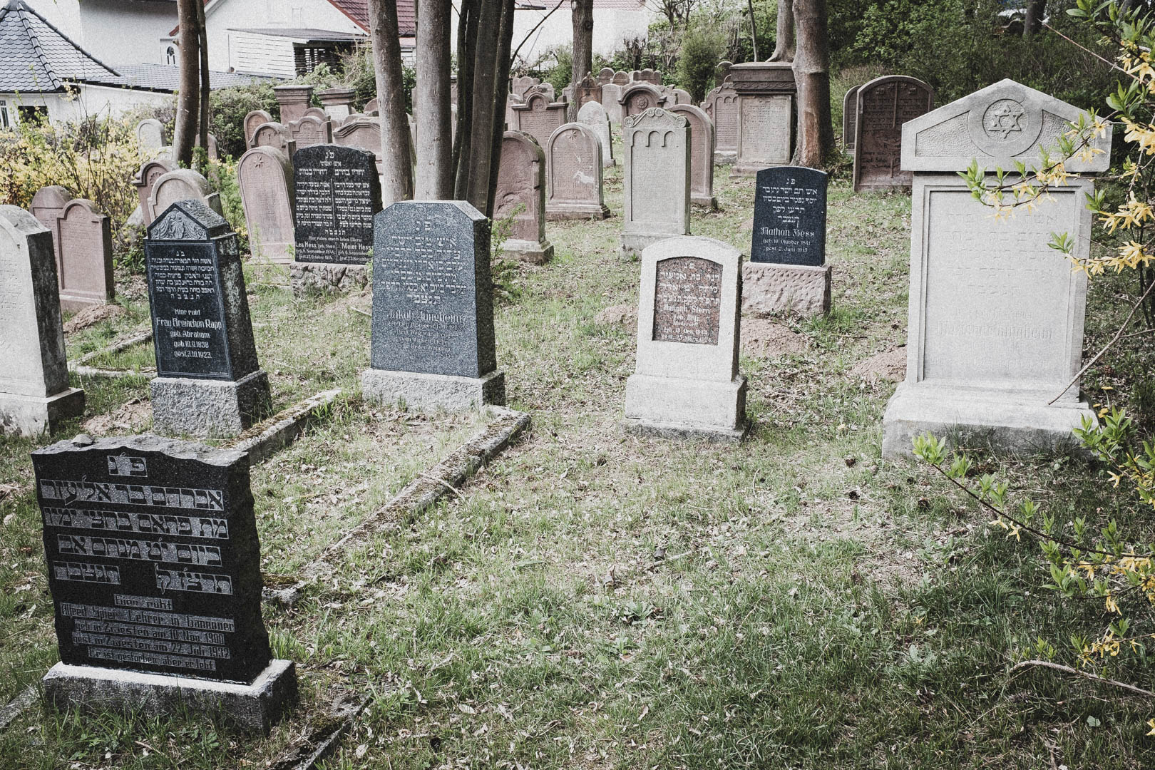 Bad Zwesten, Jüdischer Friedhof